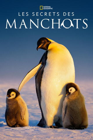 Les Secrets des manchots