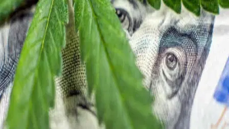 Weed, Greed and Legalization