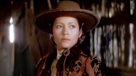 The Master Gunfighter
