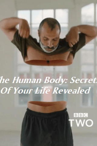 The Human Body: Secrets of Your Life Revealed