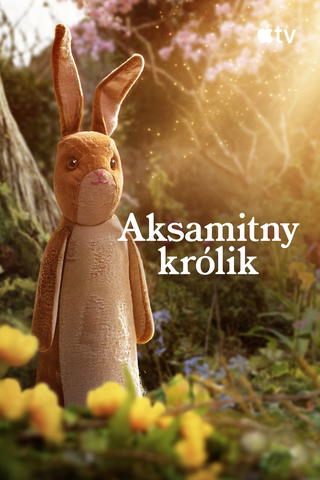 Aksamitny królik