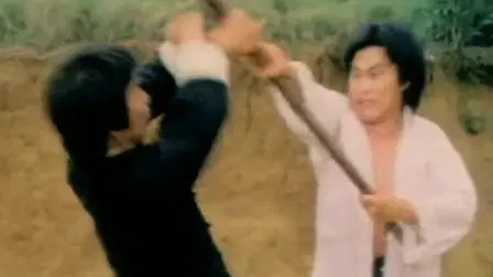 Shaolin Deadly Kicks