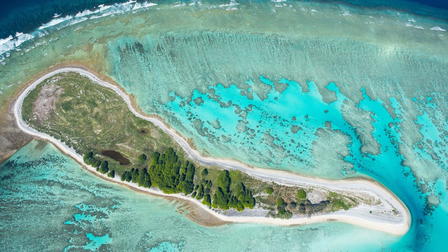 Great Barrier Reef: The Next Generation