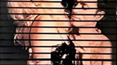 The Voyeur