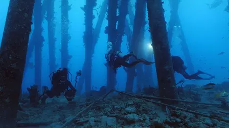 Reef Wrecks