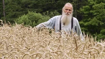 Seed: The Untold Story