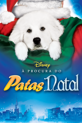 À Procura do Patas Natal