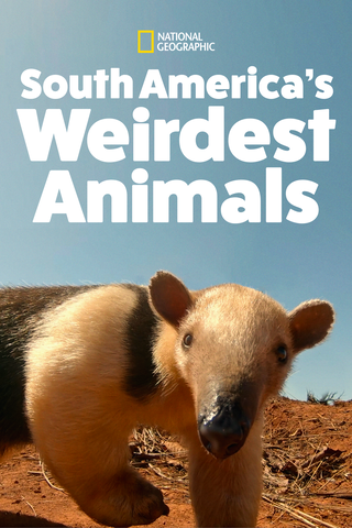 South America's Weirdest Animals