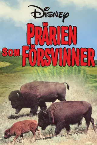 Prärien som försvinner