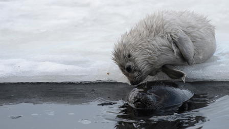 Tale of a Lake