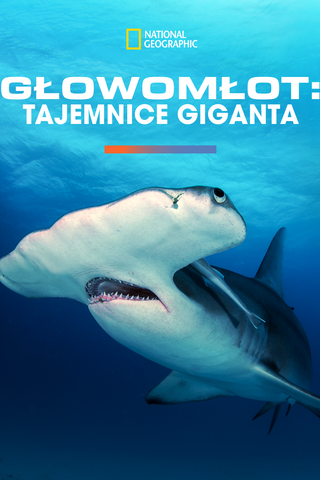 Głowomłot: tajemnice giganta