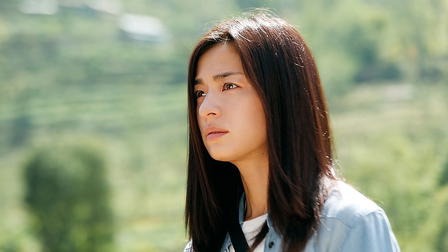 Everest: The Summit of the Gods