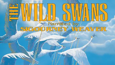 The Wild Swans