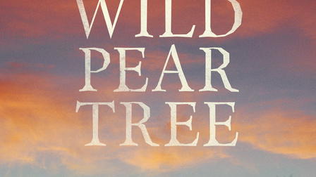 The Wild Pear Tree