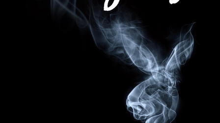 Secrets Of Playboy