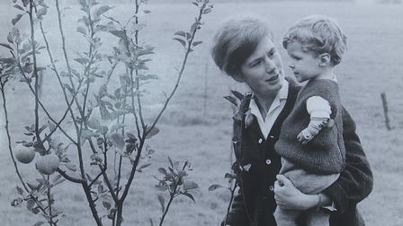 No Limits: The Thalidomide Saga