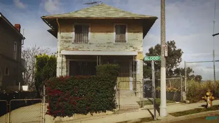 The House That Drips Blood on Alex