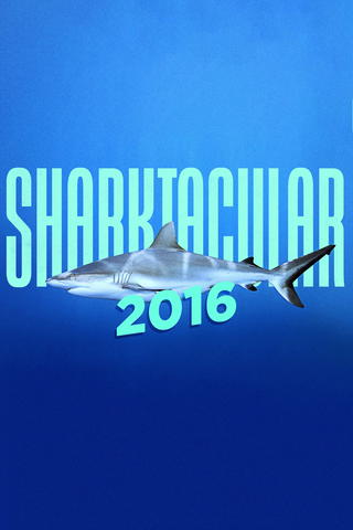 Shark Week: Semana do Tubarão
