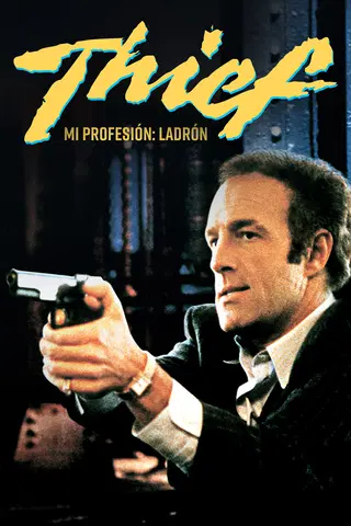 Mi profesión: Ladrón