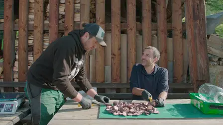 Der Bauer und der Bobo