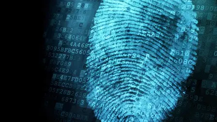 The New Detectives: Case Studies in Forensic Science