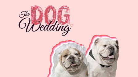 The Dog Wedding