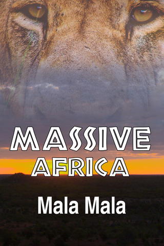 Massive Africa: Mala Mala