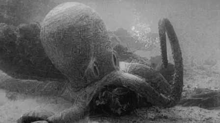 En världsomsegling under havet