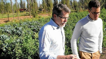 México un plato a la vez con Rick Bayless (Doblado)