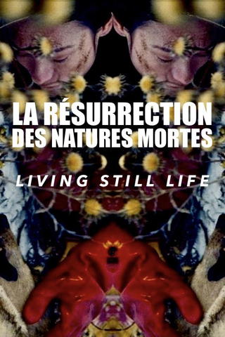 Living Still Life