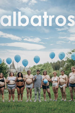 Albatros