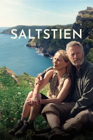 Saltstien