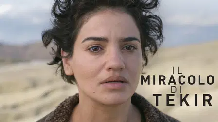 The Miracle of Tekir