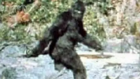 Bigfoot: Man or Beast?