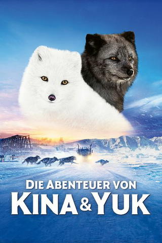 Die Abenteuer von Kina & Yuk - Zwei Polarfüchse entdecken die Welt