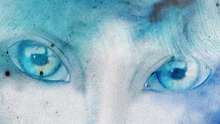 Interviews with Extra Dimensionals