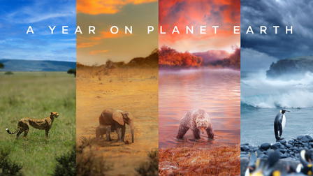 A Year on Planet Earth