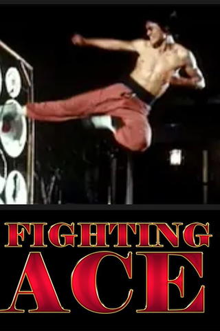 Fighting Ace