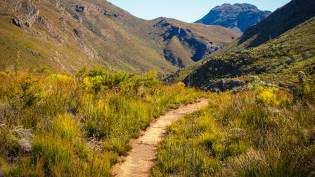 discovery+ Immersions