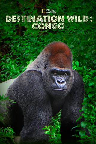 Destination Wild : Congo