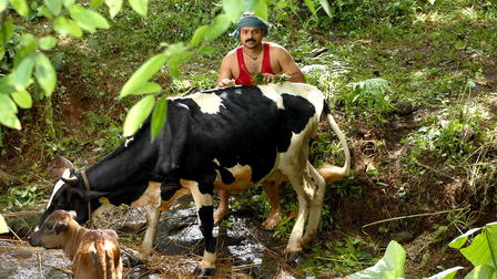 Elsamma Enna Aankutty