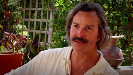 Assault on El Capitan