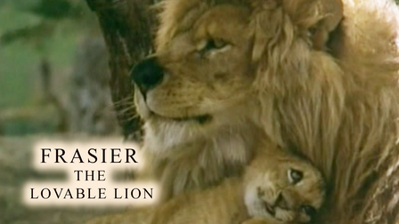 Frasier, the Sensuous Lion