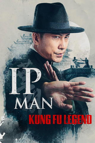 Ip Man Kung Fu Legend