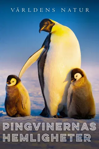 Pingvinernas hemligheter