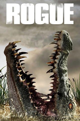 Rogue