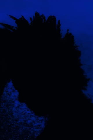 Nattens engel (dokumentarfilm)