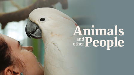 Animals and Other People