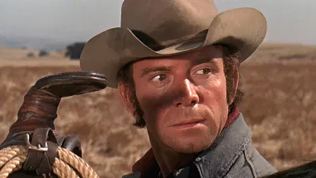 Un Colt nommé Gannon