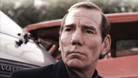 Butterfly Collectors